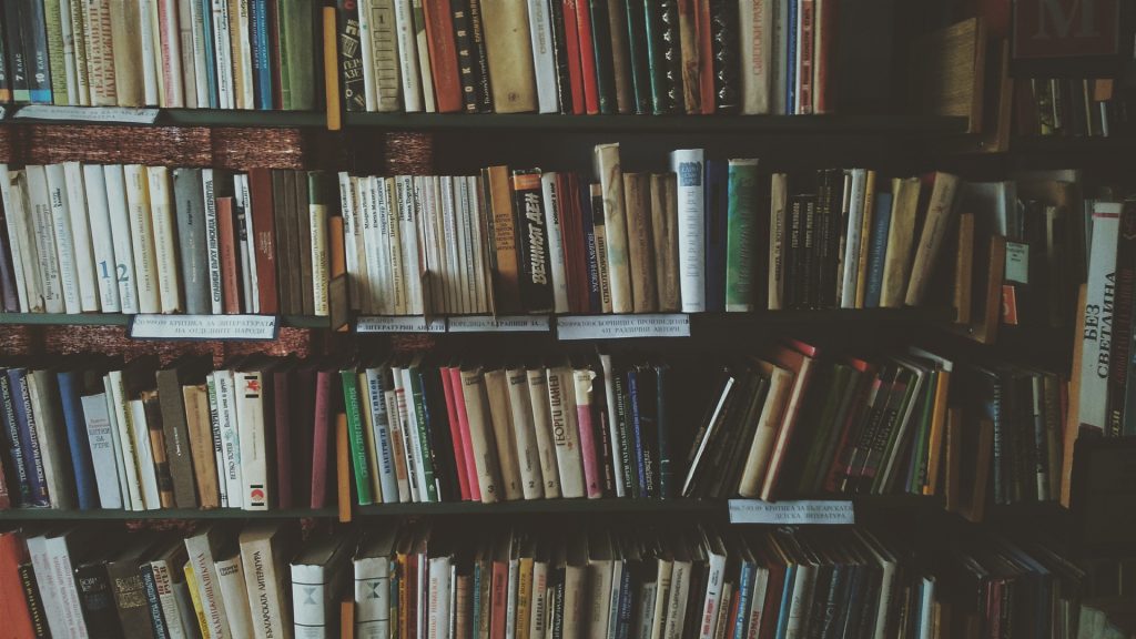 bookcase-1869616_1920